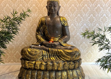 Ananda Center